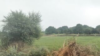 Barish Ke Bad Gaun Ki Khoobsurti