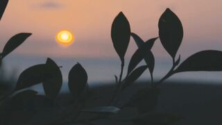 Islamic Video