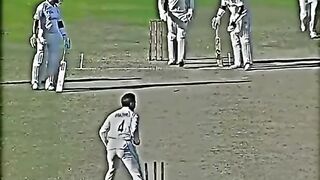 Cricket amazing video