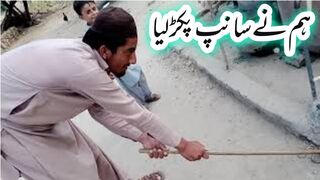 We caught the snake|Ham ny samp pakr lyae||Village life