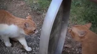 Funny ????   viral video 2023