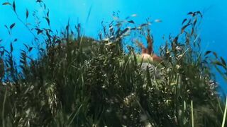 Amazing moving clip