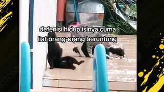 Nyindir Diri Sendiri