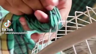 অমর লুংগি