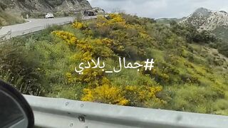 جمال بلادي 2