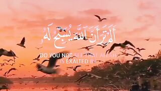Quran 344