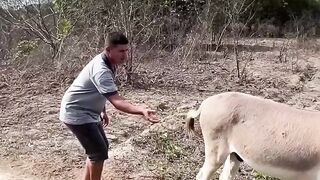 Funny ???????? Video 3
