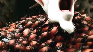 My New video 3