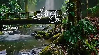 صباح النور 3