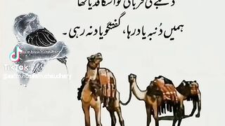 Online earning 146