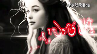 Pagal c Dil Mera