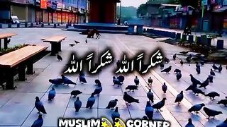 Islamic video 101