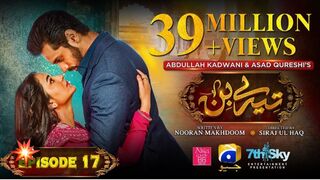 Tere Bin Pakistani drama Episode 17 | Wahaj Ali | Yumna Zaidi |
