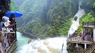 Online Earning app 6