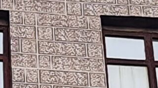 A monky on the top