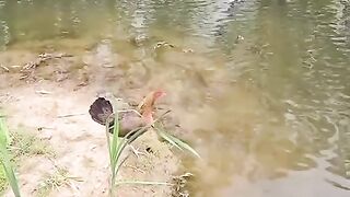 I believe i can fly...