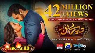 Tere Bin Pakistani Drama Episode 23 | Wahaj Ali | Yumna Zaidi | #pakdrama #terebin
