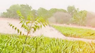 Greenery place 2