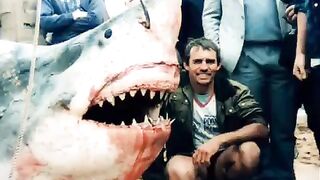 Real shark video