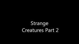 Strange Creatures Part 2