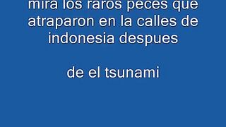 peces raros despues del tsunami