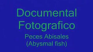 Peces Abisales (Abysmal fish) Los peces desconocidos