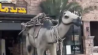 Kainat Khan Zada - Mughlai restaurant