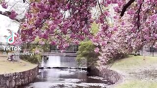 Online Earning app 7