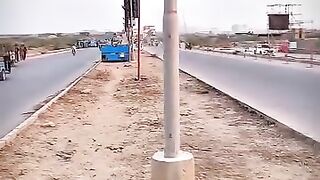 Online free video 3