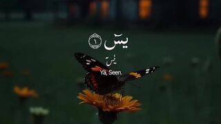 ????سورۂ یس¹????