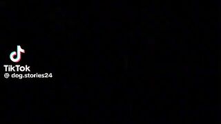 Beautiful Video 6