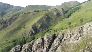Amazing scene of wild Animals