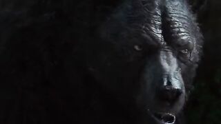 Rich ????gyhcvdlllvghse