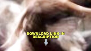 Original 18+ Leaked manohar viral video manohar lal dhaker manoharlal dhakad viral video link