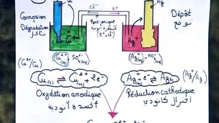 le cours des reactions chimiques dans une pille