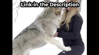 one girl one wolf one girl one frog toto22 dark web one girl one wolf video