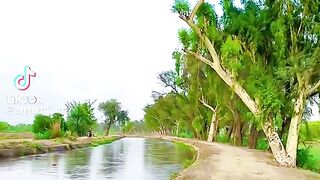 Volgnig video by best video