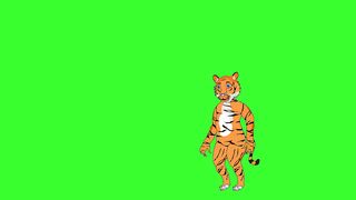 Tiger 17