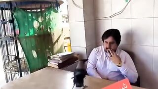 Yeh sirf pani penay kailiay ata hay or kuch nahe yeh dekho _Crow_birdslovers
