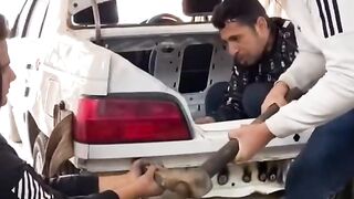 #FunVideo 23