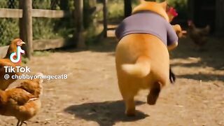 Cat ???? 9