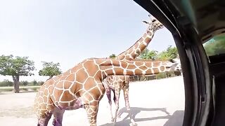 Hilarious Surprises That Are Sure to Brighten Your Day! 2