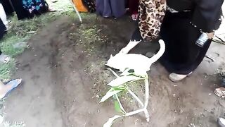 Funny unexpected moments that will definitely lift your mood! 3