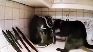 Incredible events captured on video.