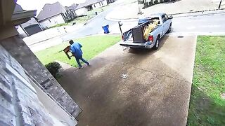 Funny unexpected moments that will definitely lift your mood! 4
