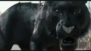 A Sabertooth Cat Tribute