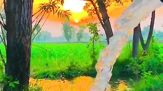 Village life 46