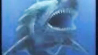 Megalodon shark