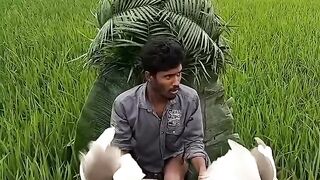 Birds are the only