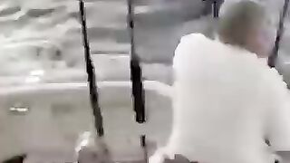 Collection of funny videos 2